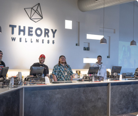 Theory Kittery